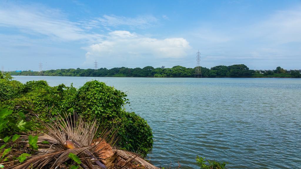 River View Guest House - Kavitha Residency Mangalúr Exteriér fotografie